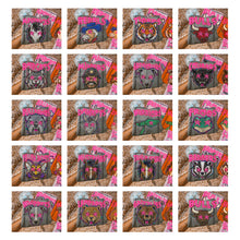 Load image into Gallery viewer, Starstruck Mascot DROPDOWN TRANSFER KAYNDI AUG 26
