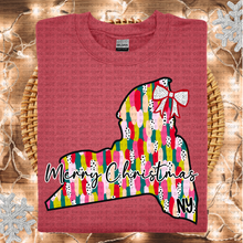 Load image into Gallery viewer, Messy Paint States(All 50 states available) DTF TRANSFER ECHT