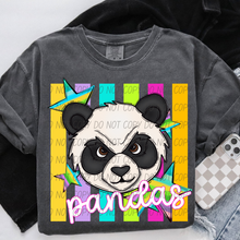 Load image into Gallery viewer, Neon Stripes Mascots DROPDOWN TRANSFER CSD APR 26