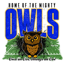 Load image into Gallery viewer, Mighty Football Mascots TRANSFER CYBER JUNE 26