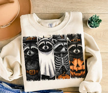 Load image into Gallery viewer, Spooky Raccoon Four Block TRANSFER