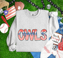 Load image into Gallery viewer, RWB Drip Mascots Dropdown TRANSFER CAP MAR 25