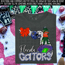 Load image into Gallery viewer, Dotted States Football DROPDOWN TRANSFER