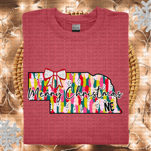 Load image into Gallery viewer, Messy Paint States(All 50 states available) DTF TRANSFER ECHT