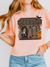 Load image into Gallery viewer, Haunted Bookstore DROPDOWN TRANSFER SCAR JUNE 25