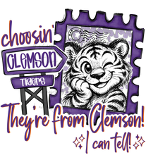 Load image into Gallery viewer, Choosin They’re From Mascot DROPDOWN TRANSFER HAYLIN MAY 26