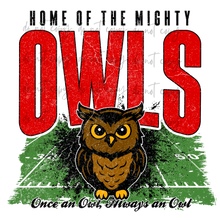 Load image into Gallery viewer, Mighty Football Mascots TRANSFER CYBER JUNE 26