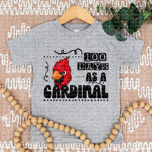 Load image into Gallery viewer, 100 Days As A Cardinal TRANSFER