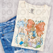 Load image into Gallery viewer, Story Book With OR Without Bows DROPDOWN TRANSFER RHD MAR 26 | COQUETTE STORYBOOK COLLAB SSD X RHD