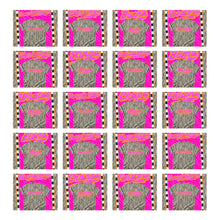 Load image into Gallery viewer, Prism Script Mascots DROPDOWN TRANSFER KAYNDI AUG 26