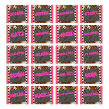 Load image into Gallery viewer, Bubble Stars Mascots DROPDOWN TRANSFER KAYNDI AUG 26