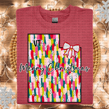 Load image into Gallery viewer, Messy Paint States(All 50 states available) DTF TRANSFER ECHT