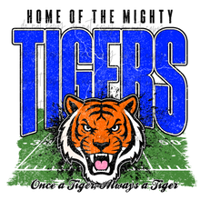 Load image into Gallery viewer, Mighty Football Mascots TRANSFER CYBER JUNE 26