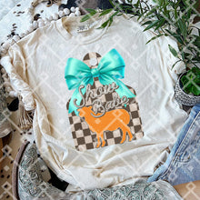 Load image into Gallery viewer, Show Babe Pink Or Teal Tag DROPDOWN TRANSFER CCD FEB