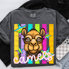 Load image into Gallery viewer, Neon Stripes Mascots DROPDOWN TRANSFER CSD APR 26