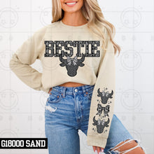 Load image into Gallery viewer, Aztec Faux Embroidery Names With SLEEVE OPTION TRANSFER HMWK JAN