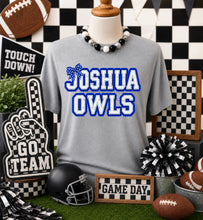 Load image into Gallery viewer, Ruffle Joshua Owls Bow TRANSFER ET AUG 26