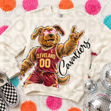 Load image into Gallery viewer, Basketball Delulu Teams DROPDOWN TRANSFER RHD OCT 26