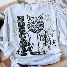 Load image into Gallery viewer, Letterman Mascots With Dalmatian Stars DROPDOWN TRANSFER CSD MAR 26