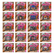 Load image into Gallery viewer, Starstruck Mascot DROPDOWN TRANSFER KAYNDI AUG 26