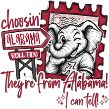 Load image into Gallery viewer, Choosin They’re From Mascot DROPDOWN TRANSFER HAYLIN MAY 26