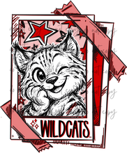Load image into Gallery viewer, Cutie Patooties Mascots DROPDOWN TRANSFER HOOPLA MAY 26