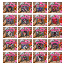 Load image into Gallery viewer, Starstruck Mascot DROPDOWN TRANSFER KAYNDI AUG 26