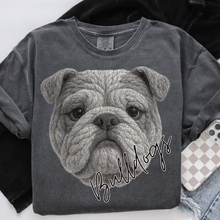 Load image into Gallery viewer, Crochet Mascots DROPDOWN TRANSFER CSD OCT 25