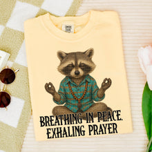 Load image into Gallery viewer, Breathing In Peace TRANSFER SDD APR