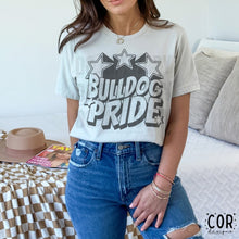 Load image into Gallery viewer, Star Mascot Pride DROPDOWN TRANSFER COR