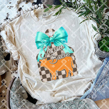 Load image into Gallery viewer, Show Babe Pink Or Teal Tag DROPDOWN TRANSFER CCD FEB