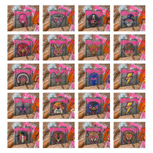 Load image into Gallery viewer, Starstruck Mascot DROPDOWN TRANSFER KAYNDI AUG 26