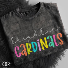 Load image into Gallery viewer, Neon Bright Line Cardinals DROPDOWN TRANSFER COR