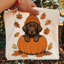 Load image into Gallery viewer, Pumpkin Puppies In Beanies Breed DROPDOWN TRANSFER UAC JULY 26