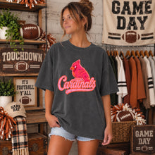 Load image into Gallery viewer, Pink & Orange Retro Mascots DROPDOWN TRANSFER