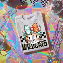 Load image into Gallery viewer, Pink Teal Gold Glitter Checker Mascots Dropdown TRANSFER CST JUNE