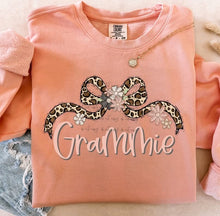 Load image into Gallery viewer, Leopard Bow Floral Name TRANSFER BIA JAN