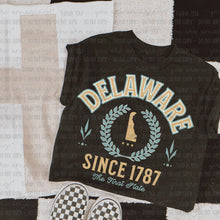 Load image into Gallery viewer, Color States (all 50 states available) TRANSFER OHDD MAY 25