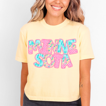 Load image into Gallery viewer, Spring States(all 50 states available) TRANSFER CSD APR 25