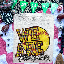Load image into Gallery viewer, We Are Faux Embroidery Glitter Softball Mascot TRANSFER CAP JAN