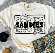 Load image into Gallery viewer, Stacked Mascots With Leopard Frame Dropdown TRANSFER BIA 25