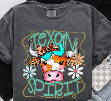 Load image into Gallery viewer, Funky Mascot Spirit Mascots Dropdown TRANSFER BIA 25