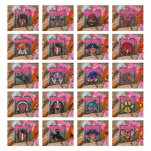 Load image into Gallery viewer, Starstruck Mascot DROPDOWN TRANSFER KAYNDI AUG 26