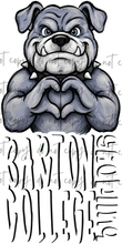 Load image into Gallery viewer, Pocket Peekers DROPDOWN TRANSFER HOOPLA JULY 26