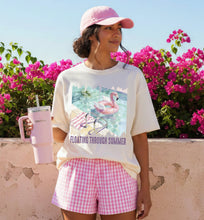 Load image into Gallery viewer, Floating Through Summer Flamingo Pool Float Distressed Panels TRANSFER SDD APR 26