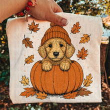 Load image into Gallery viewer, Pumpkin Puppies In Beanies Breed DROPDOWN TRANSFER UAC JULY 26