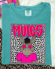 Load image into Gallery viewer, Preppy Mascot Portrait Dropdown TRANSFER AJD MAR 25