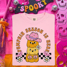 Load image into Gallery viewer, Pumpkin Season Is Here Check Stacked Pumpkins TRANSFER HMWK