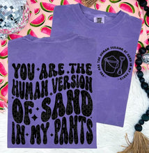 Load image into Gallery viewer, You Are The Human Version Of Sand In My Pants With Pocket TRANSFER HMWK