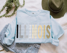 Load image into Gallery viewer, Boho Neutral States (All 50 states available) DTF TRANSFER